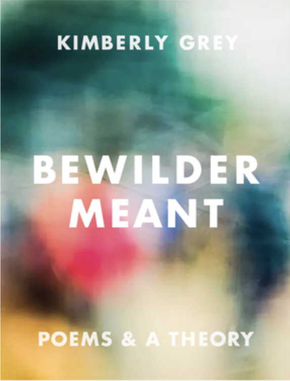 Bewilder Meant book cover