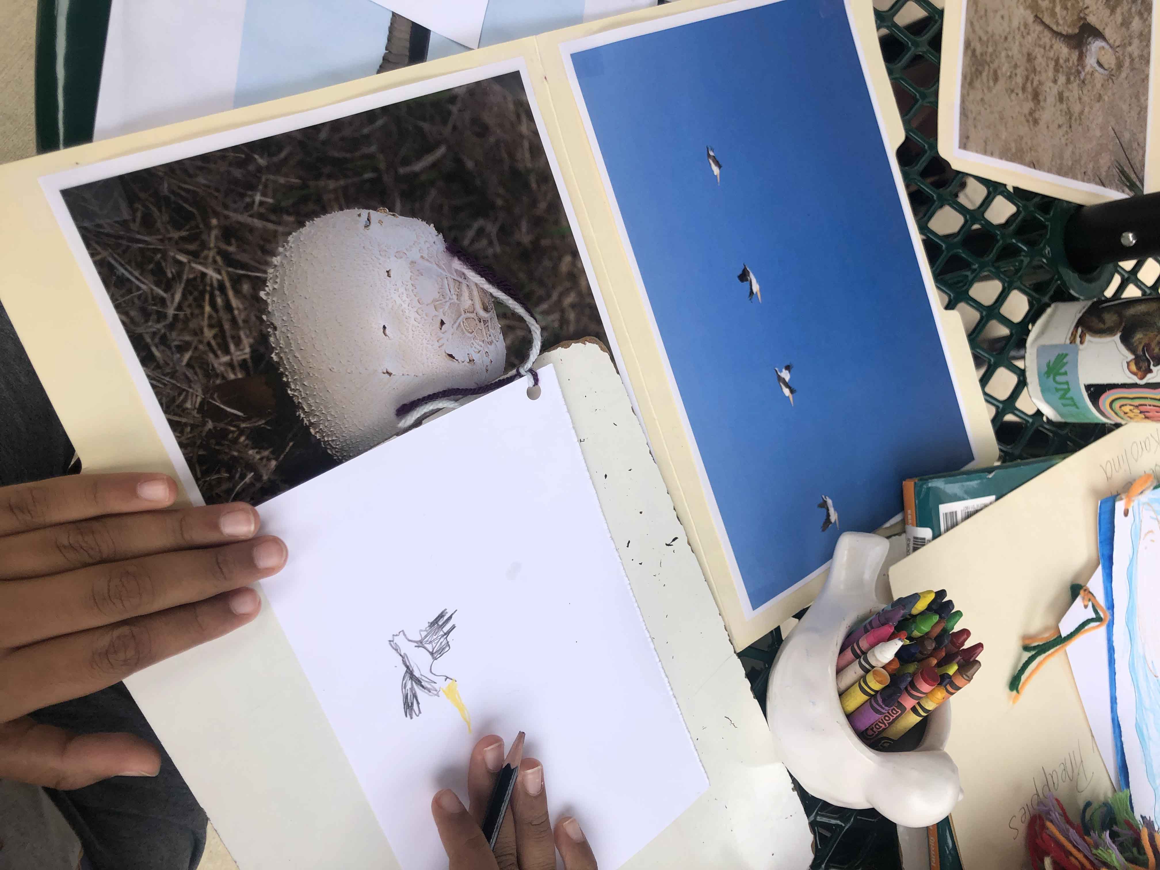 Image of student hands working together to draw images of the environment 
