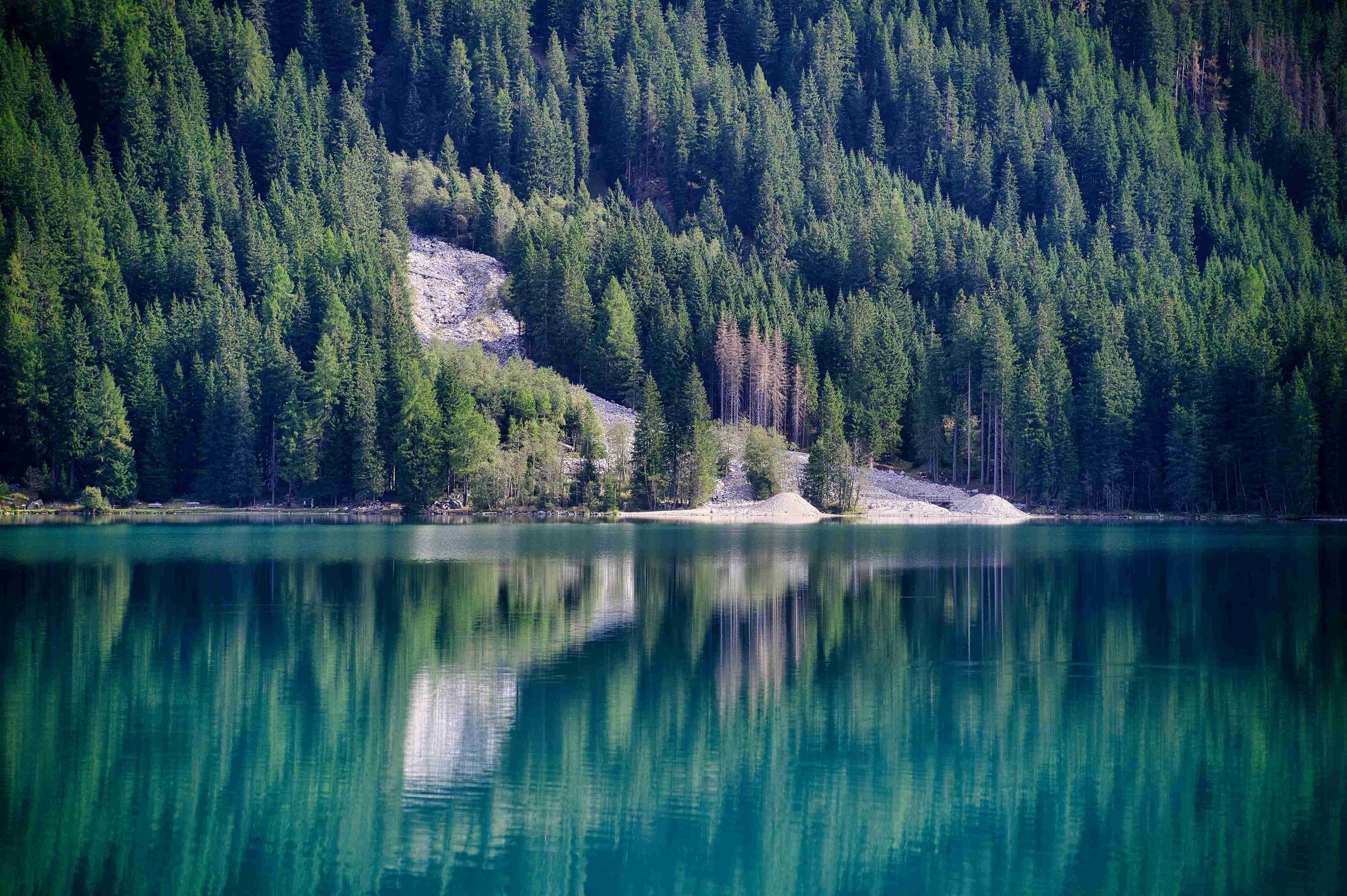 Mountain lake with clear reflections of green pine forest on the water