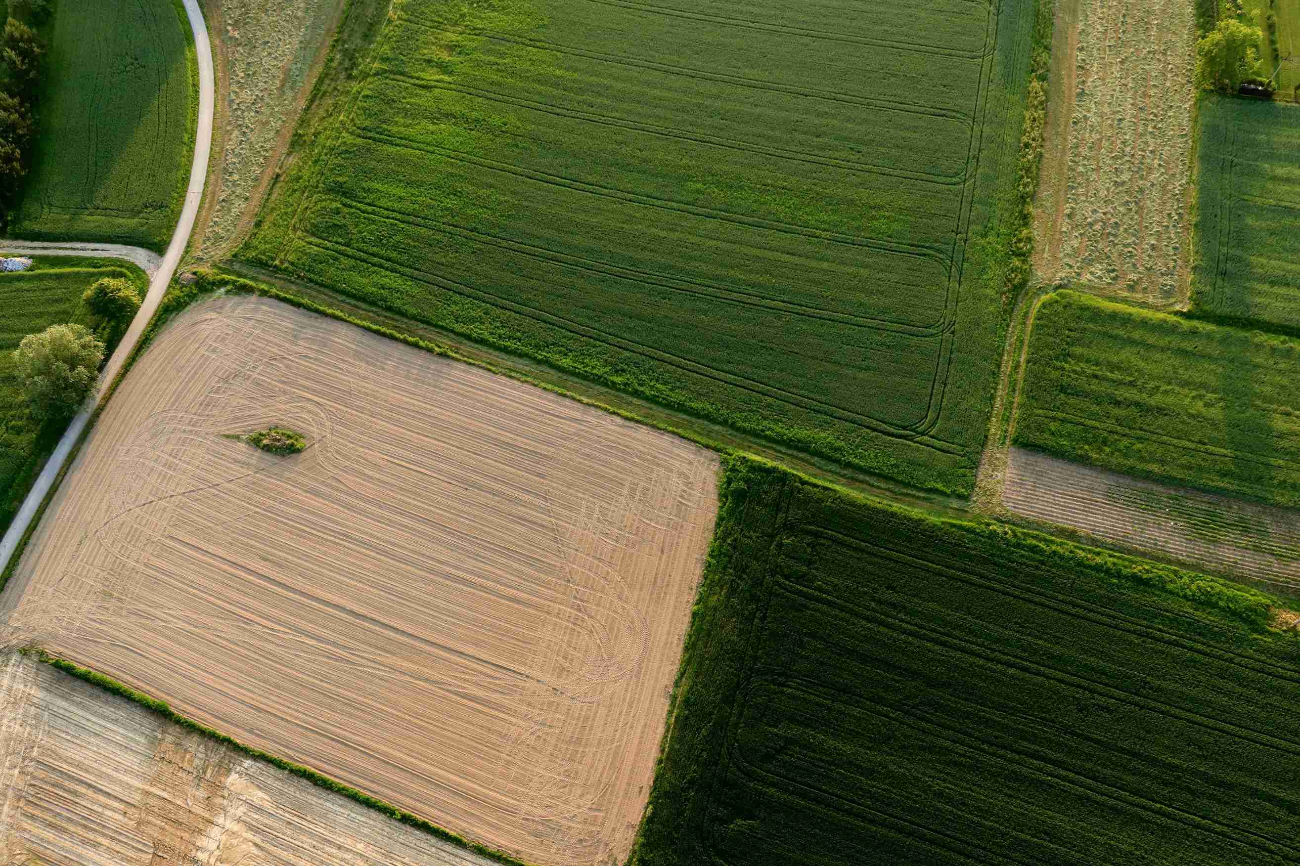 Aerial view of patchwork farmland