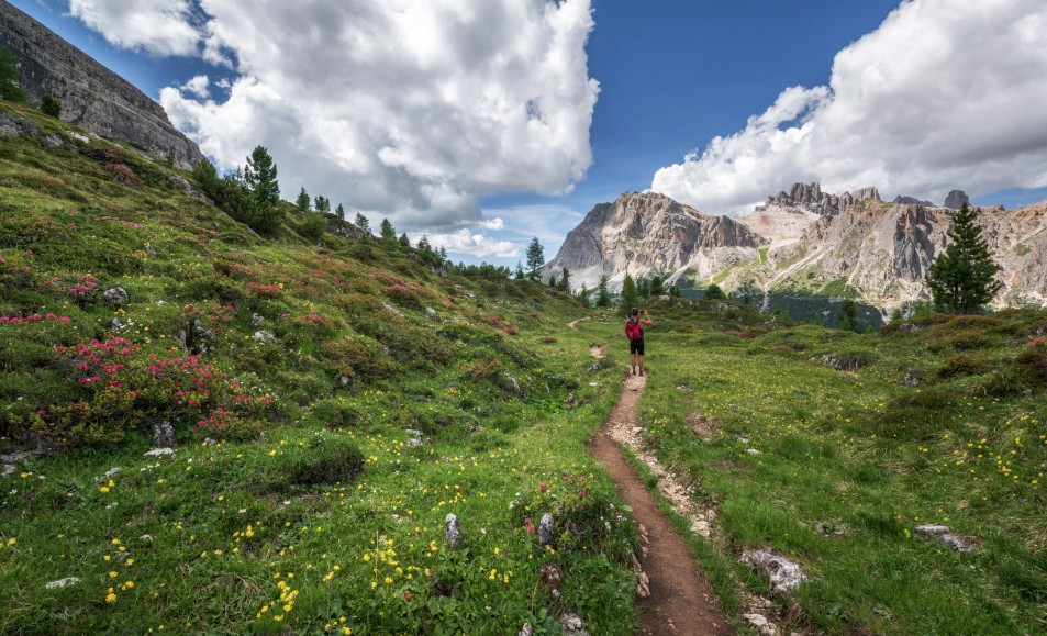 Hiker on a narrow mountain trail through green meadow with wildflowers and rocky peaks in the distance
