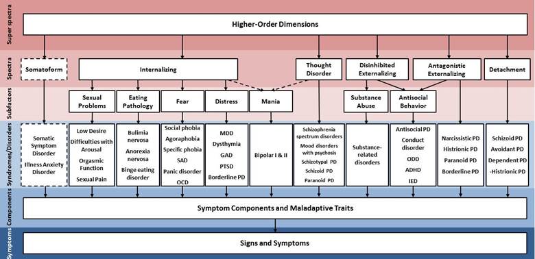 Eleven DSM-5 classes of mental disorders have been incorporated into the HiTOP to date