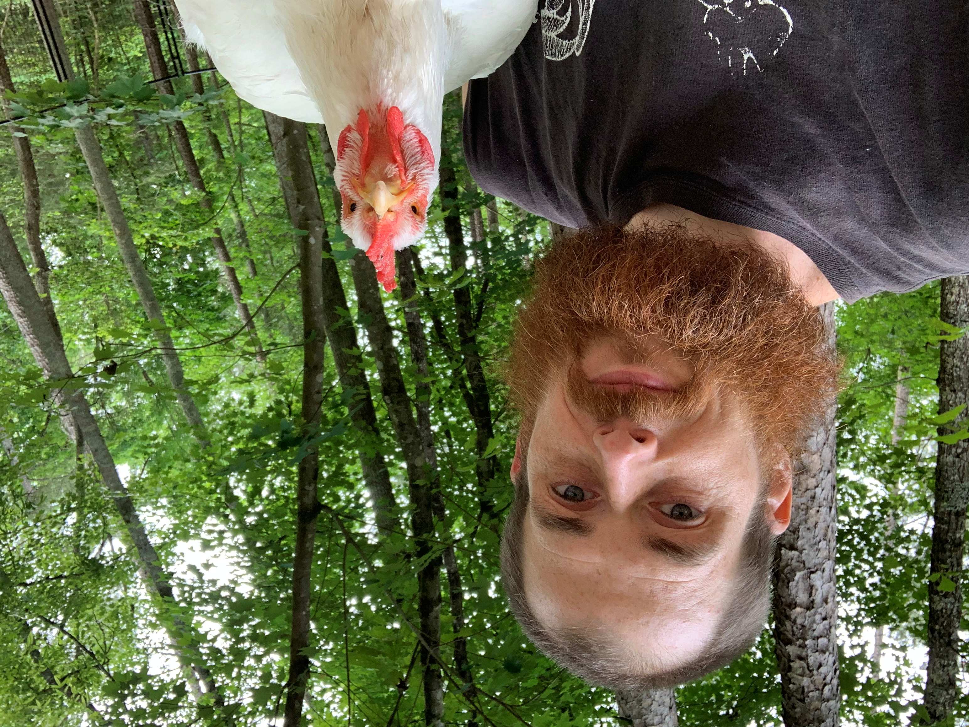 A person holds a chicken