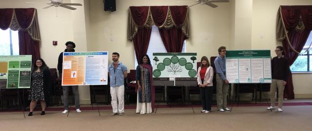 People presenting posters in a row