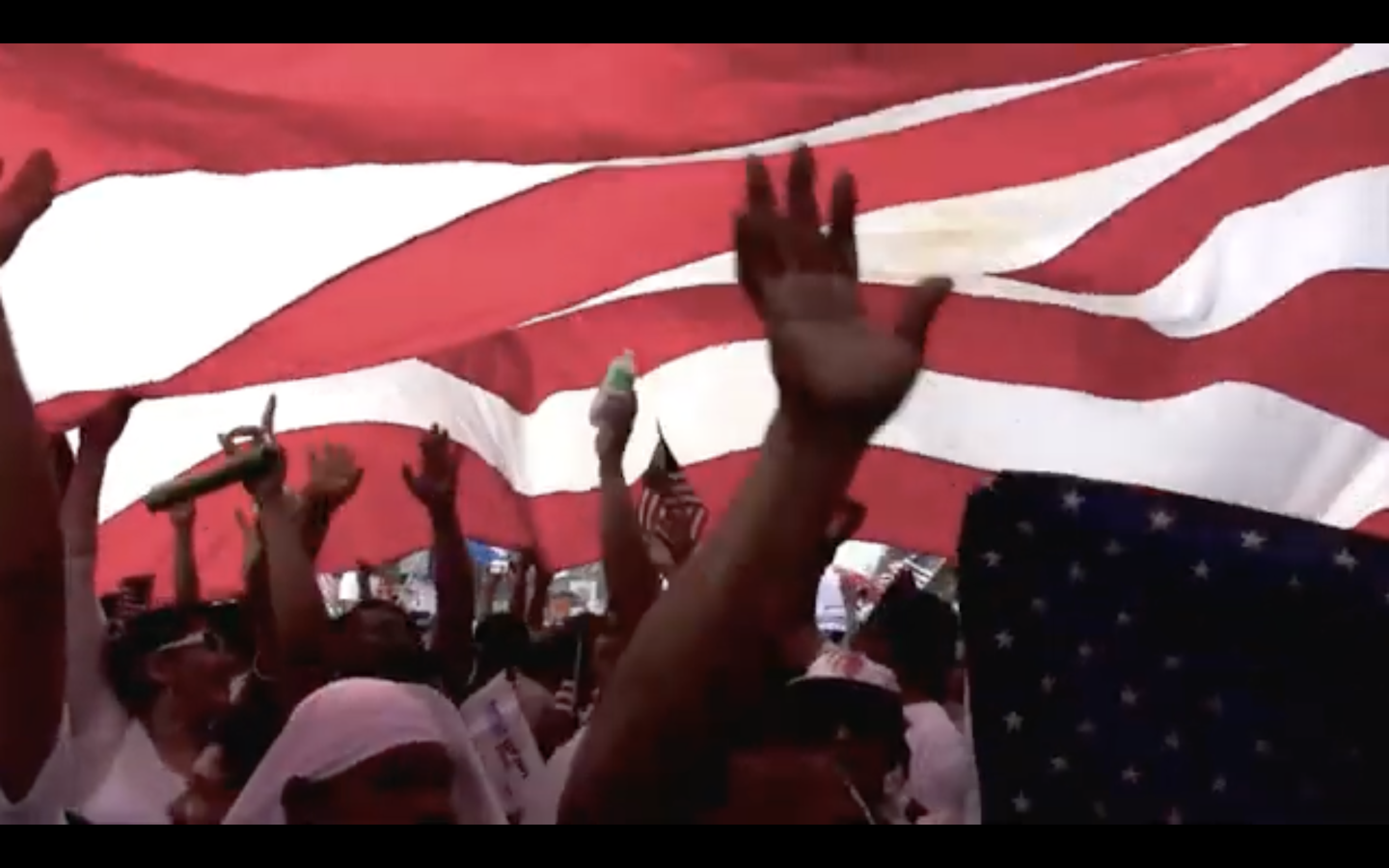 Protesters marching under a giant American flag.