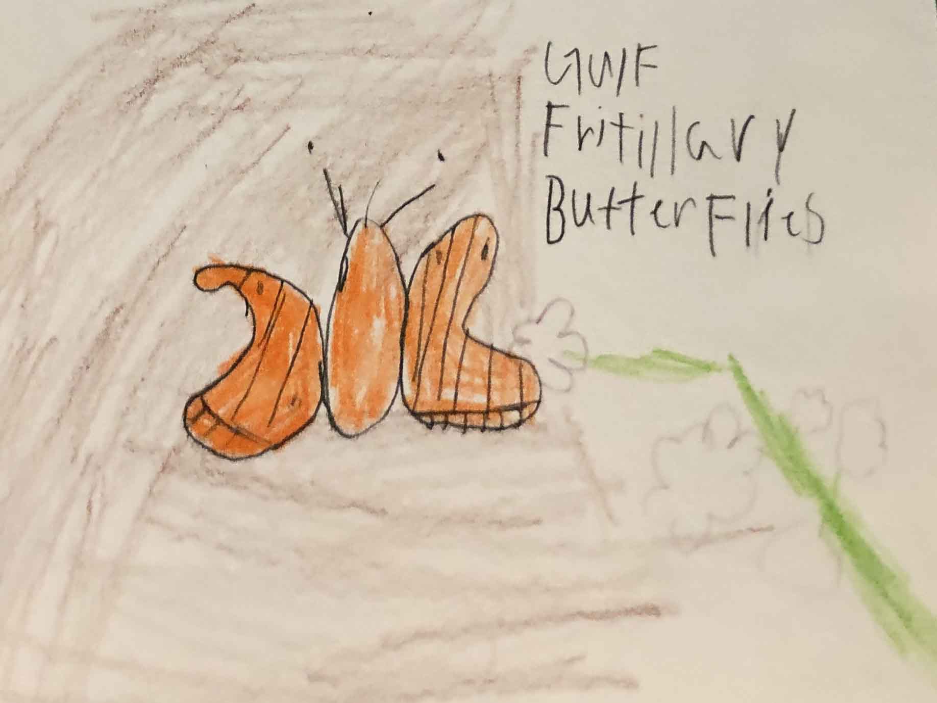 child's drawing of a butterfly