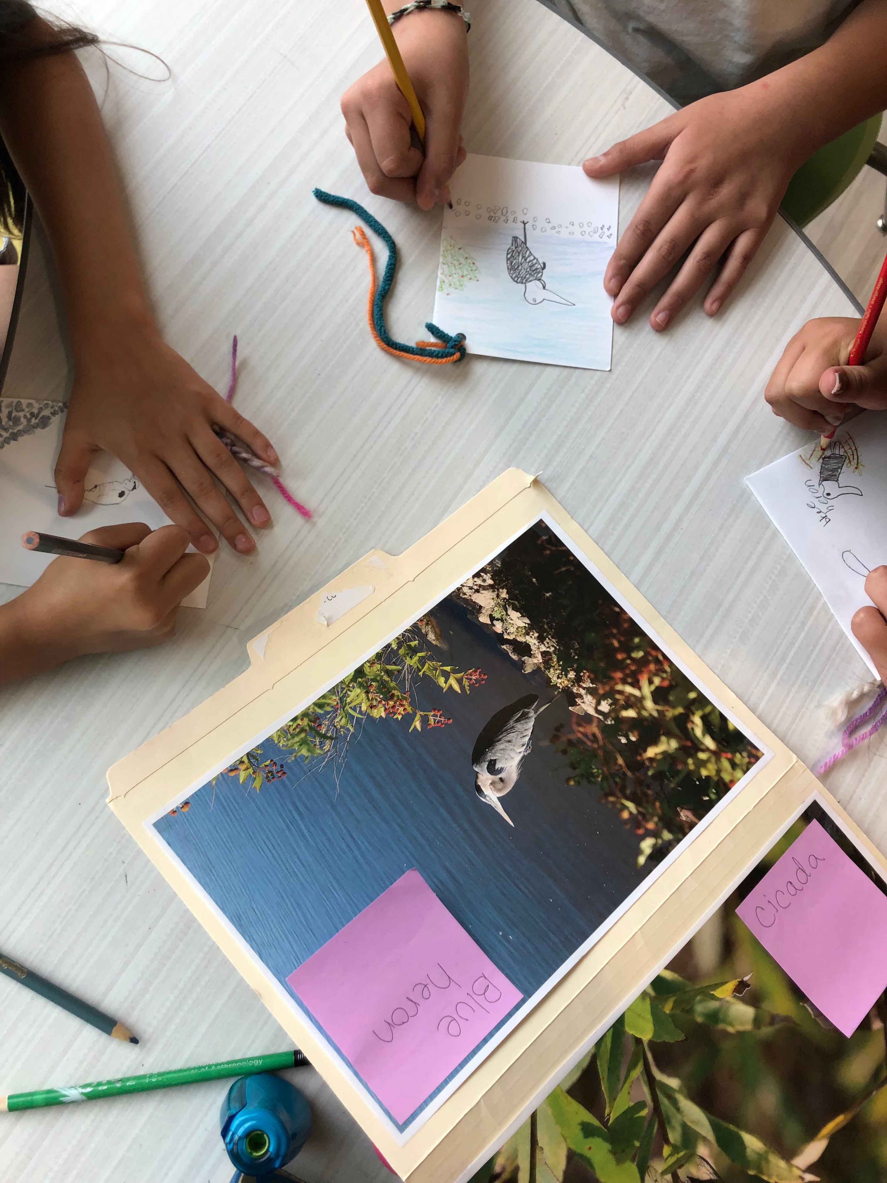 Image of kids coloring