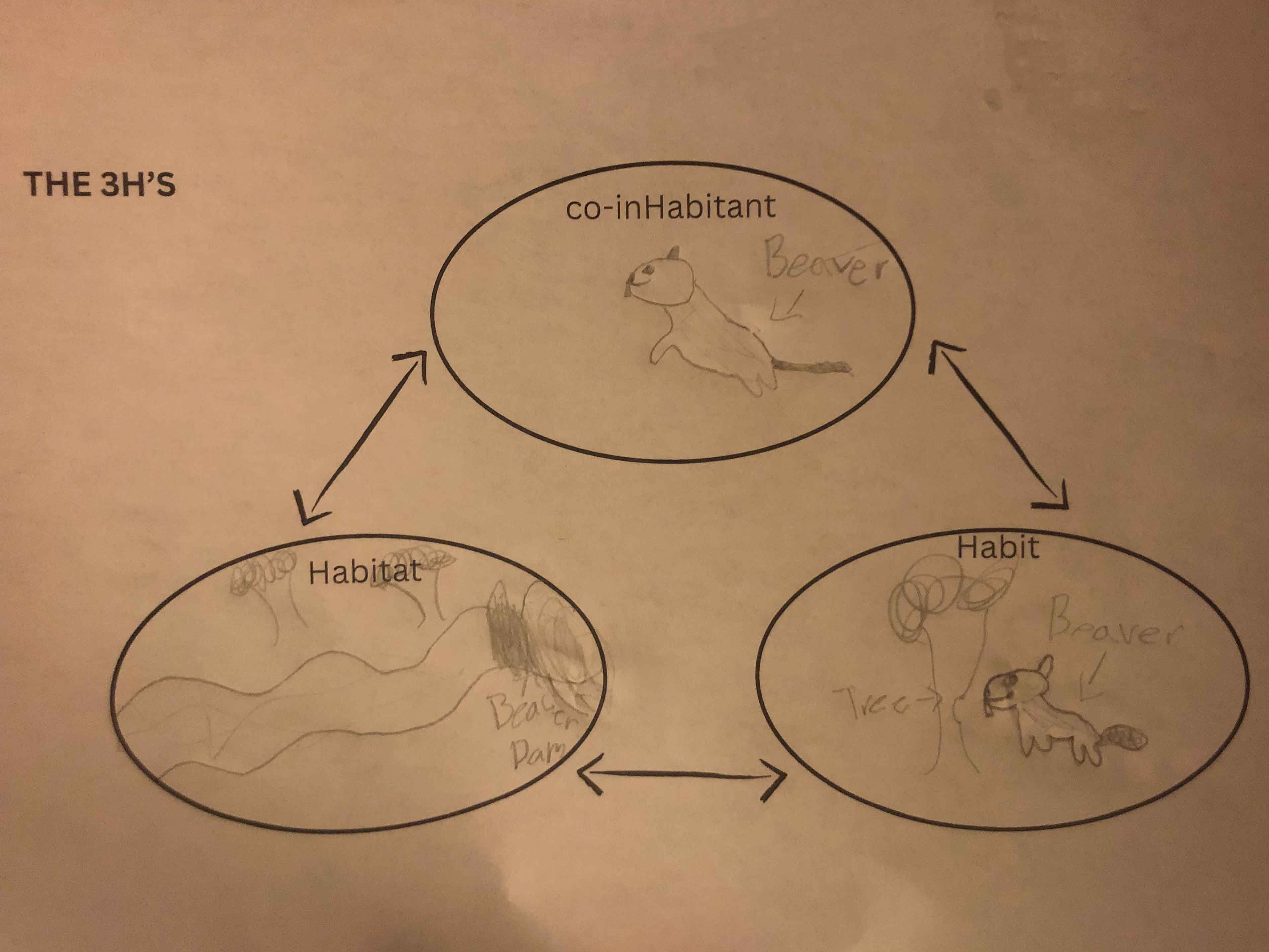 image of student work